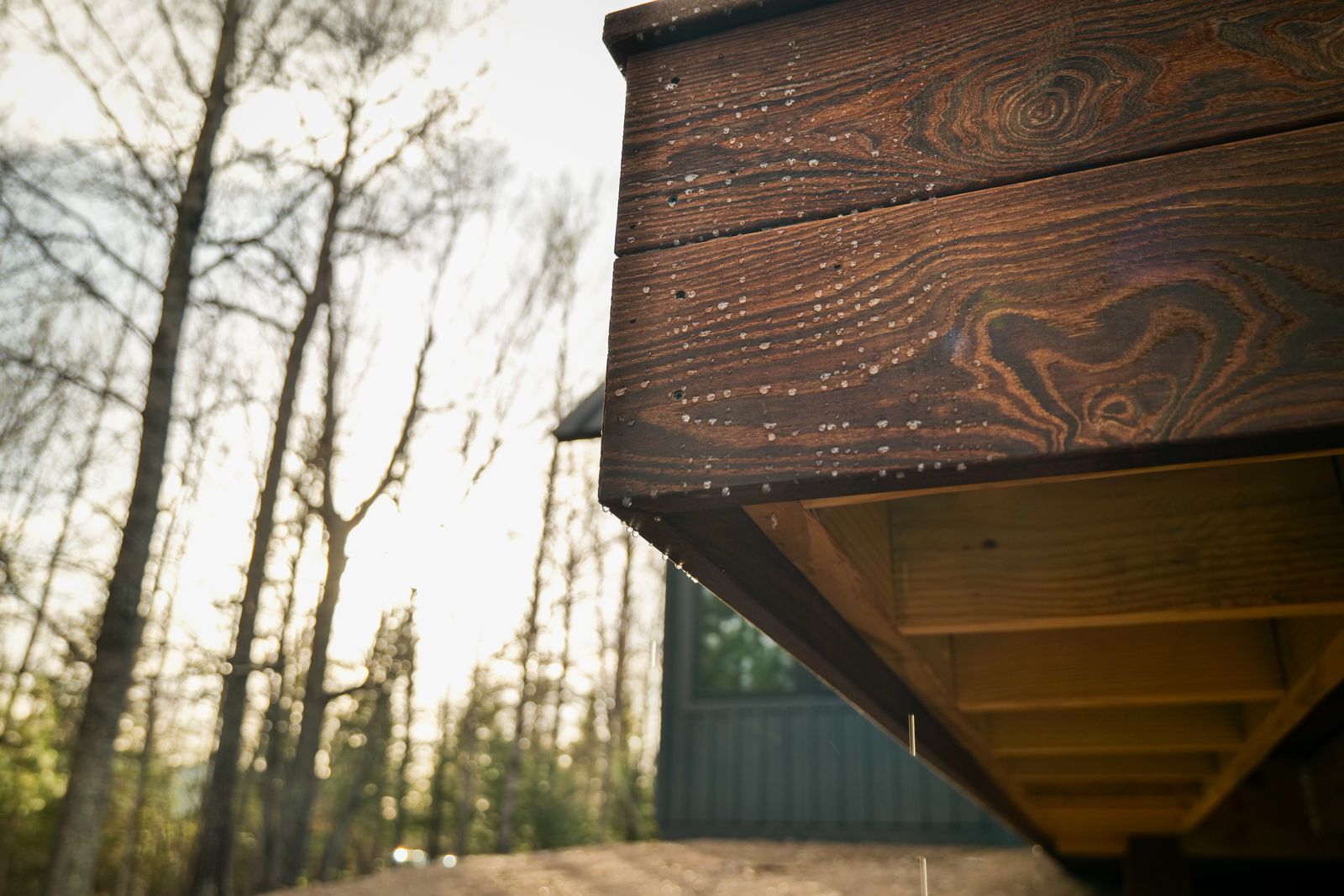 Edge of the thermally modified wood deck against the forest at dusk