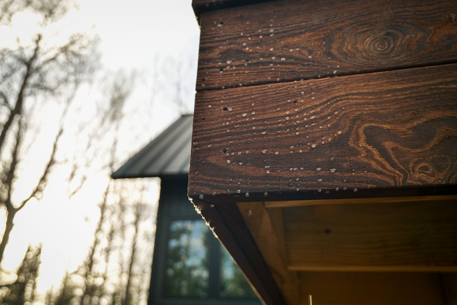 Golden-hour light on the thermally modified wood eave of the Island Lake home